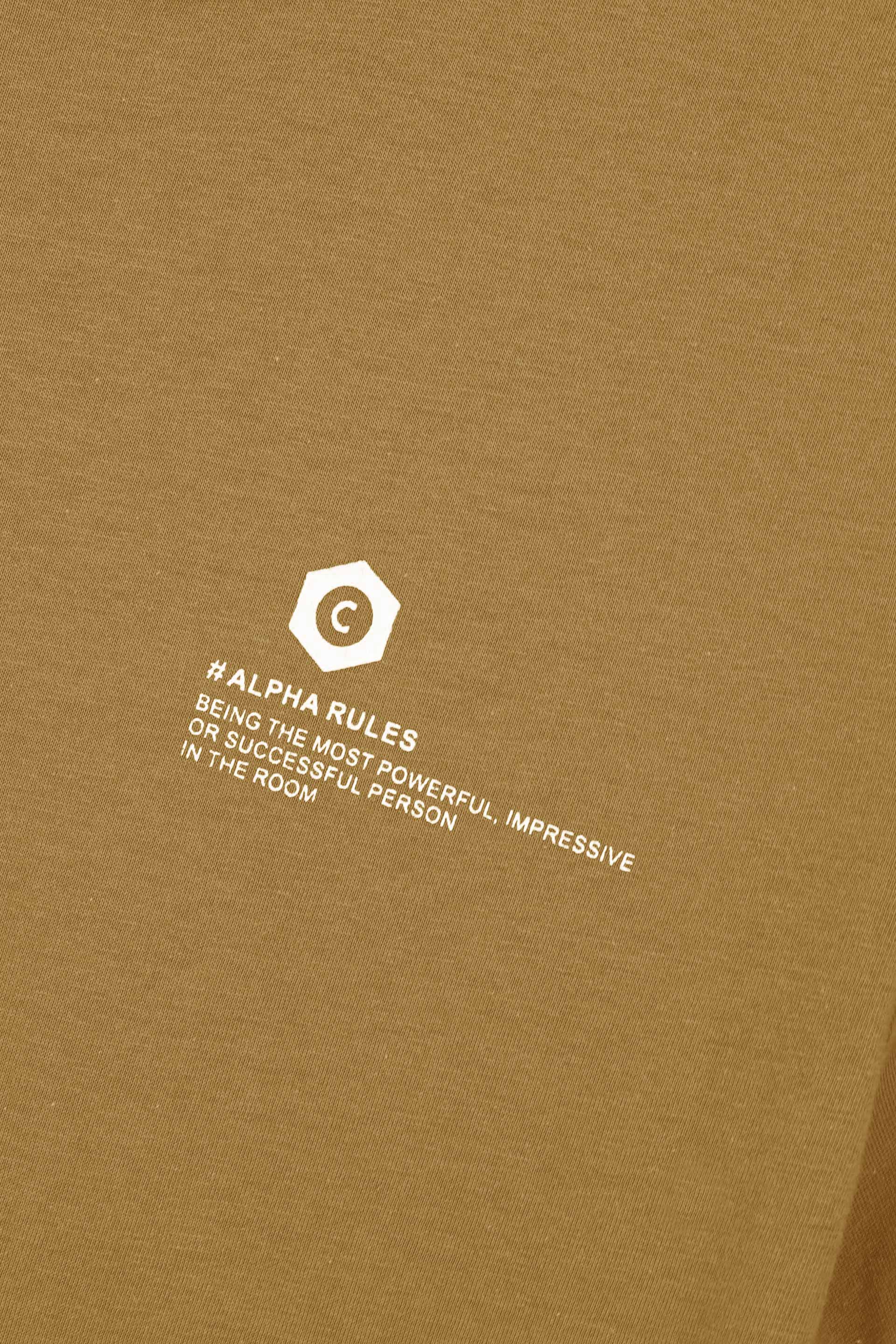 Brown Printed T-Shirt