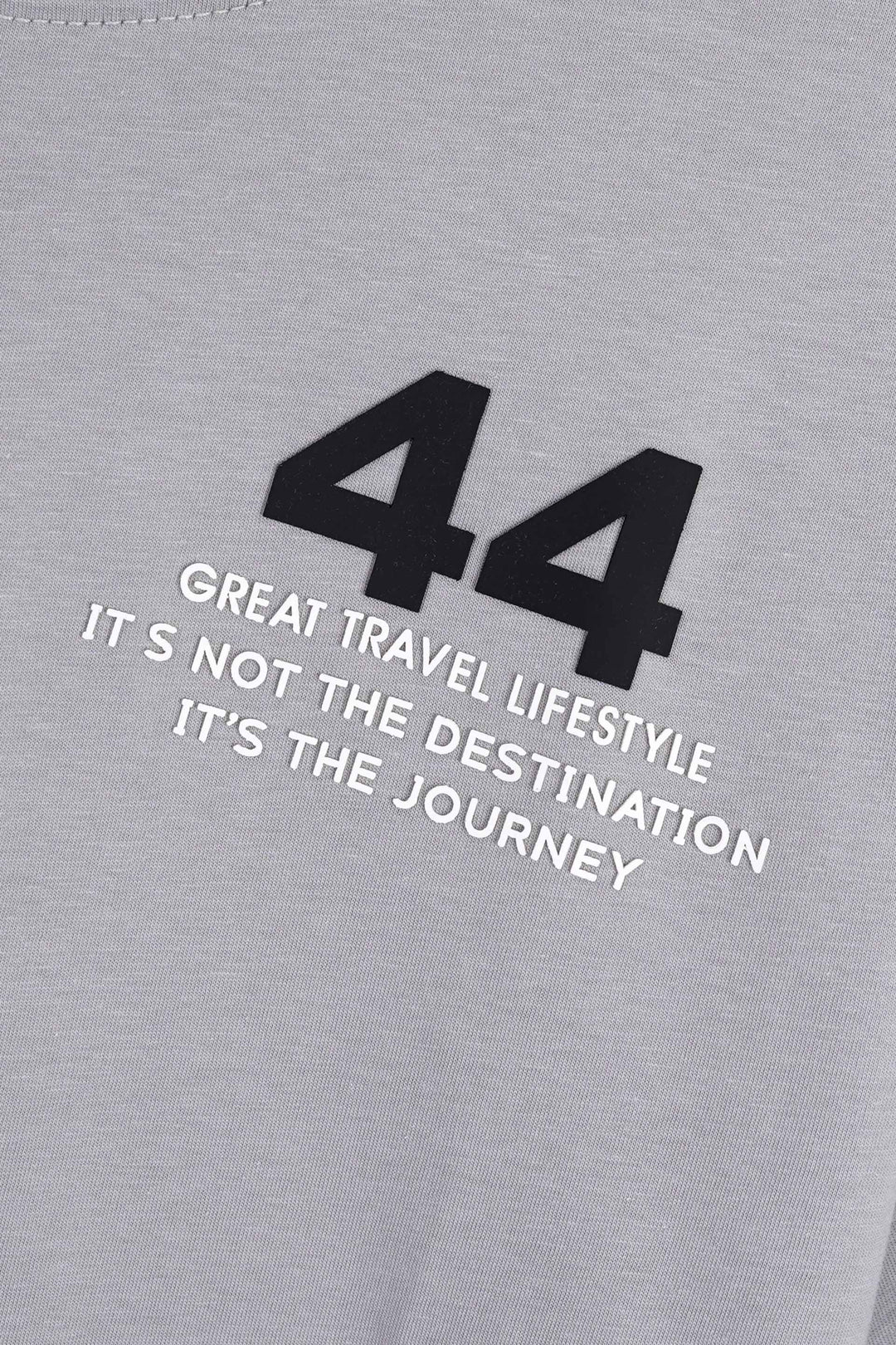 Grey Graphic Printed T-Shirt